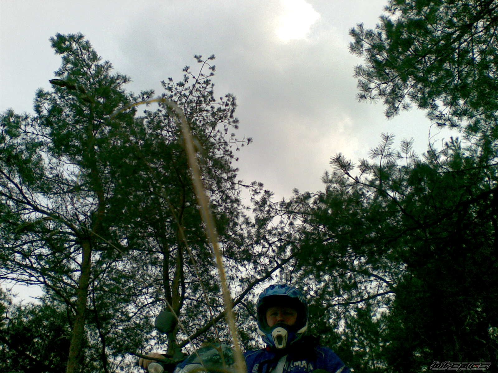 Photo 1210370