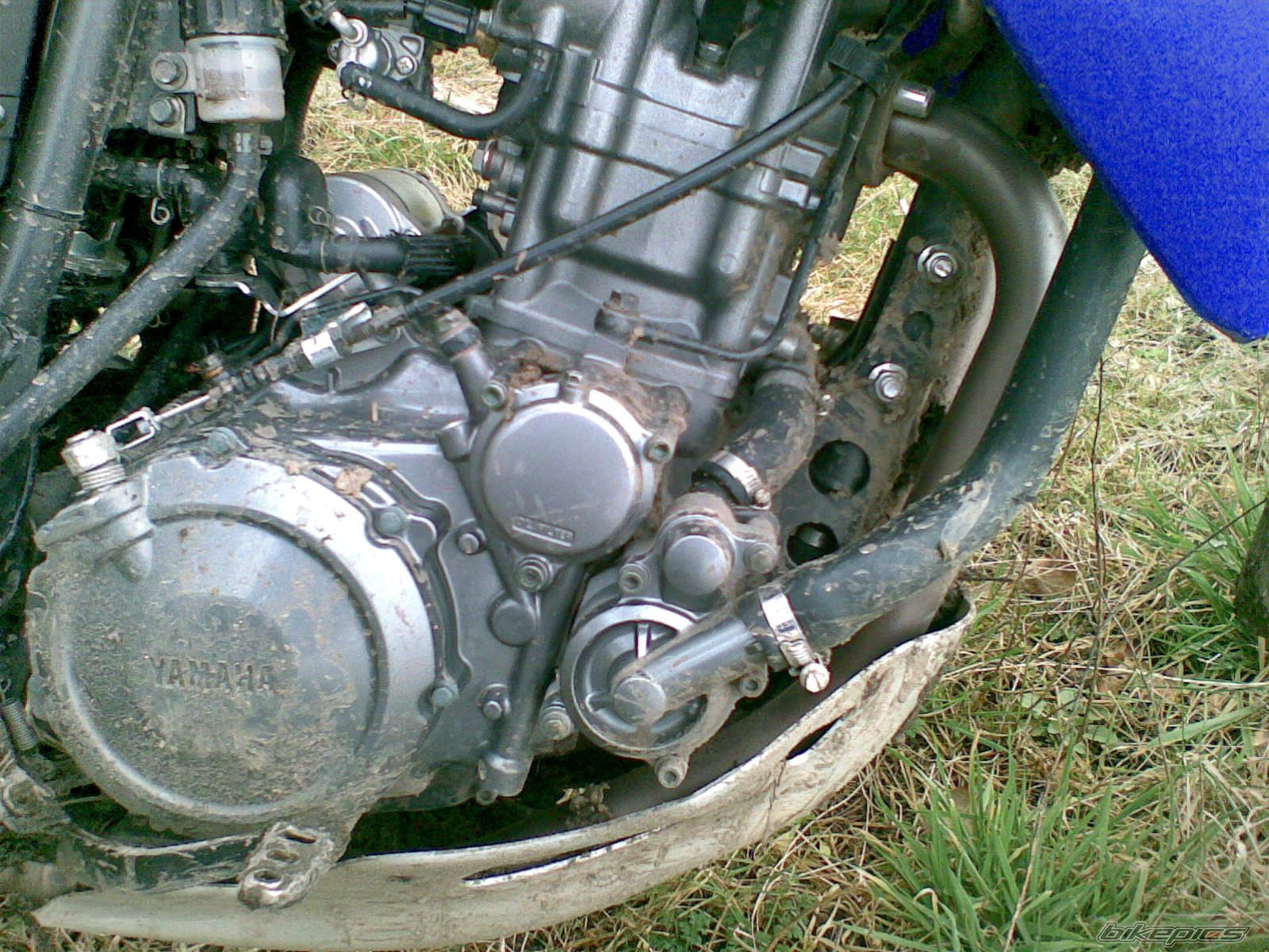 Photo 1210440