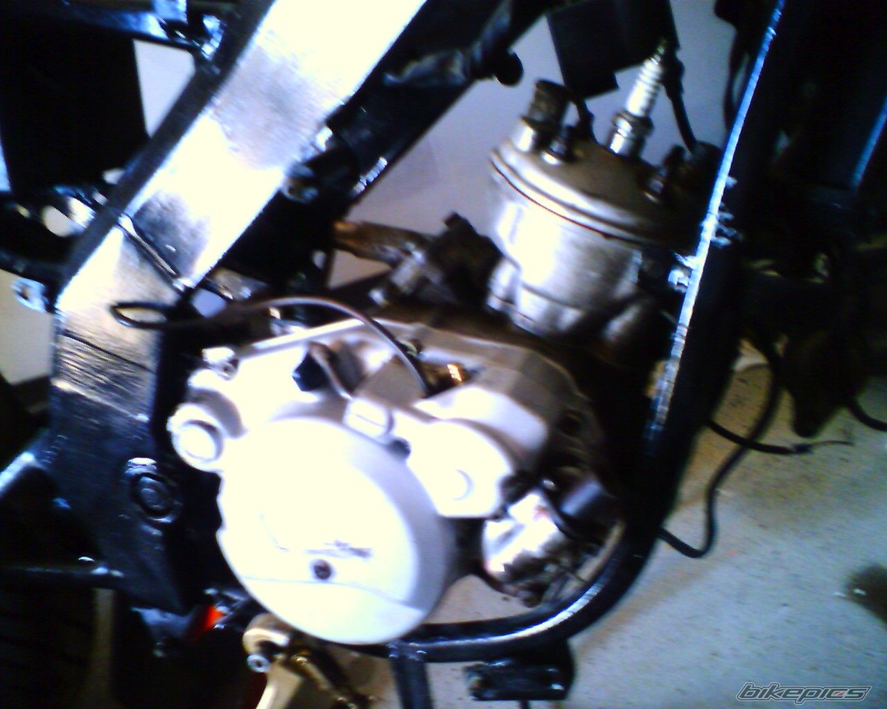 Photo 1210460