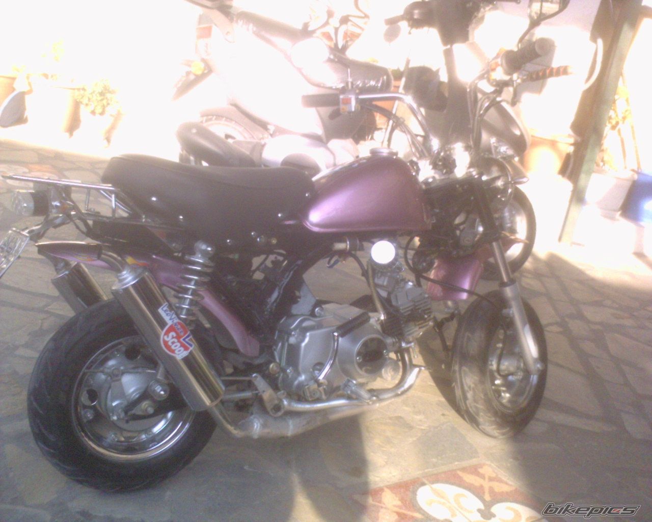Photo 1210625