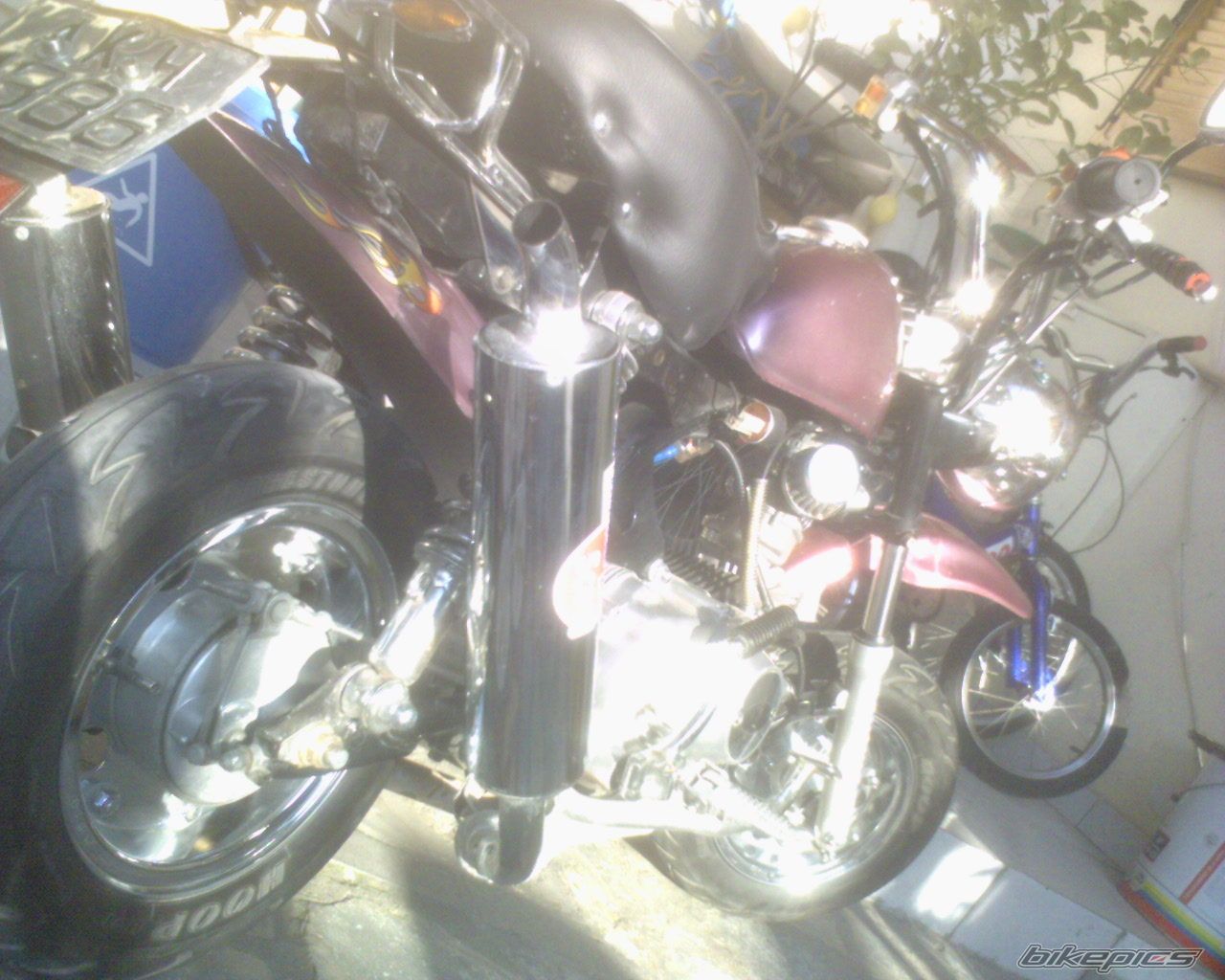 Photo 1210627