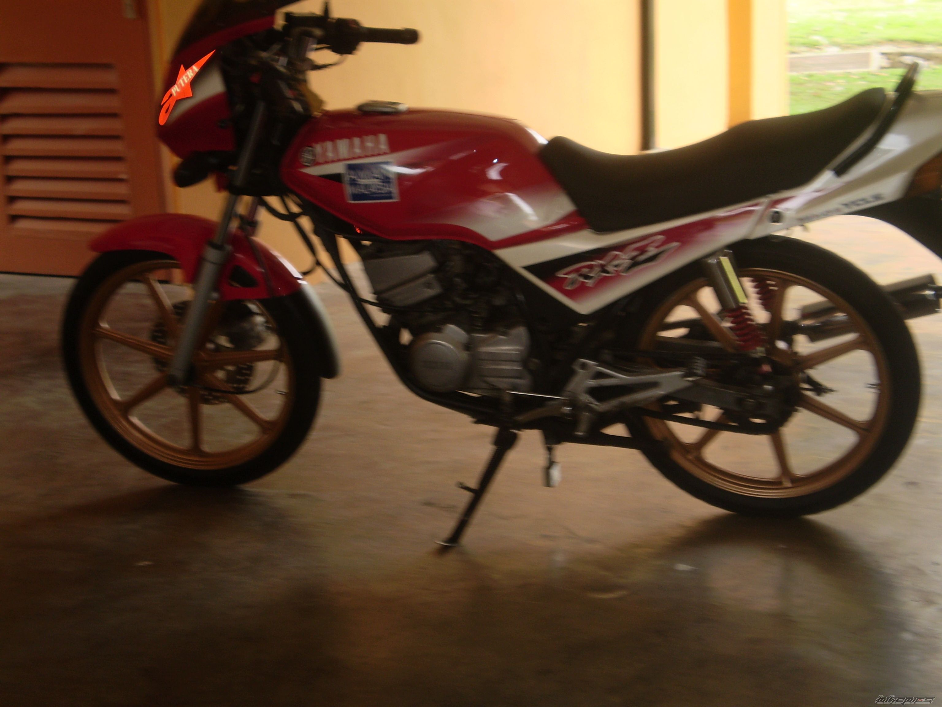 Photo 1210956