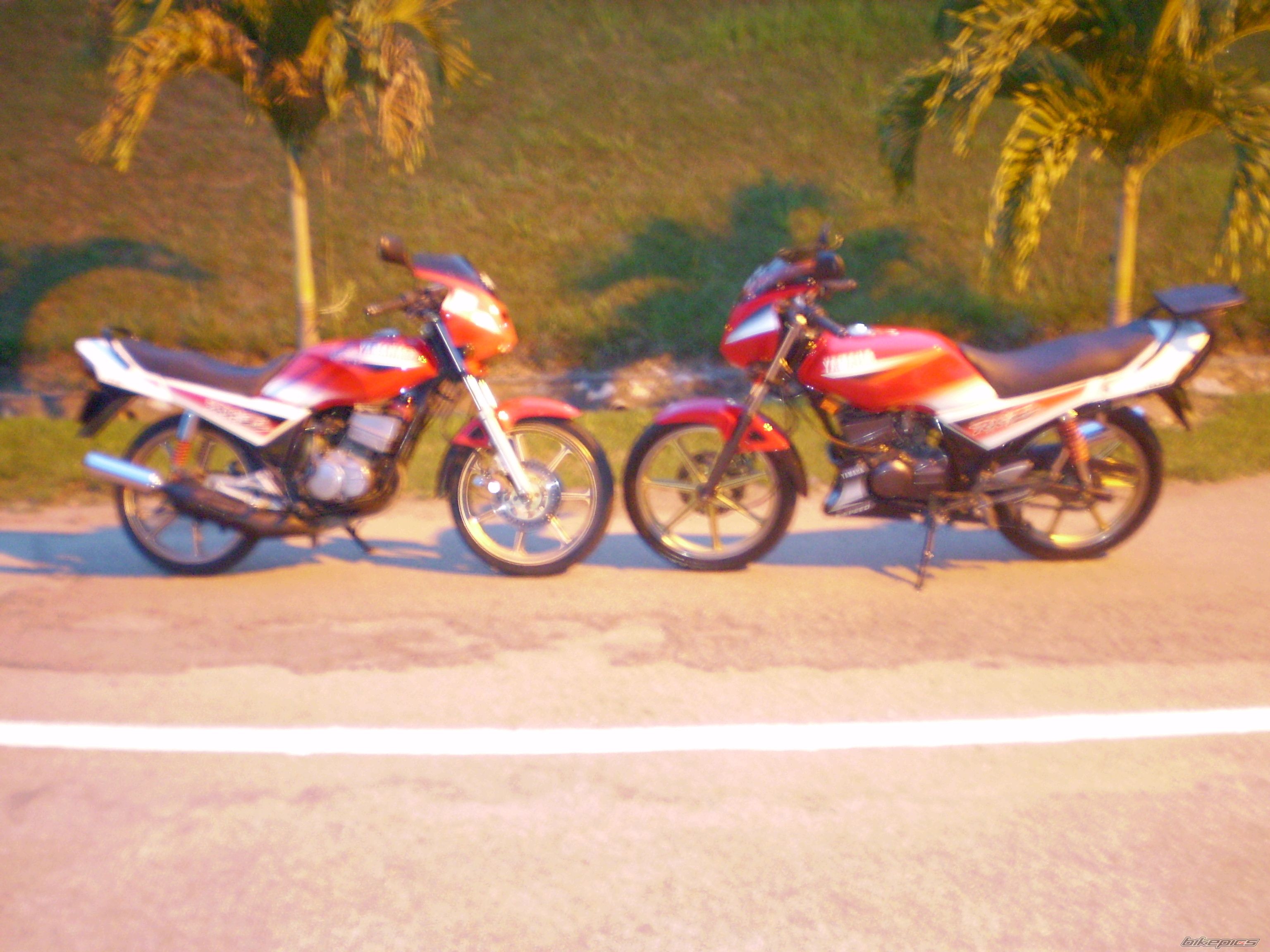 Photo 1210959