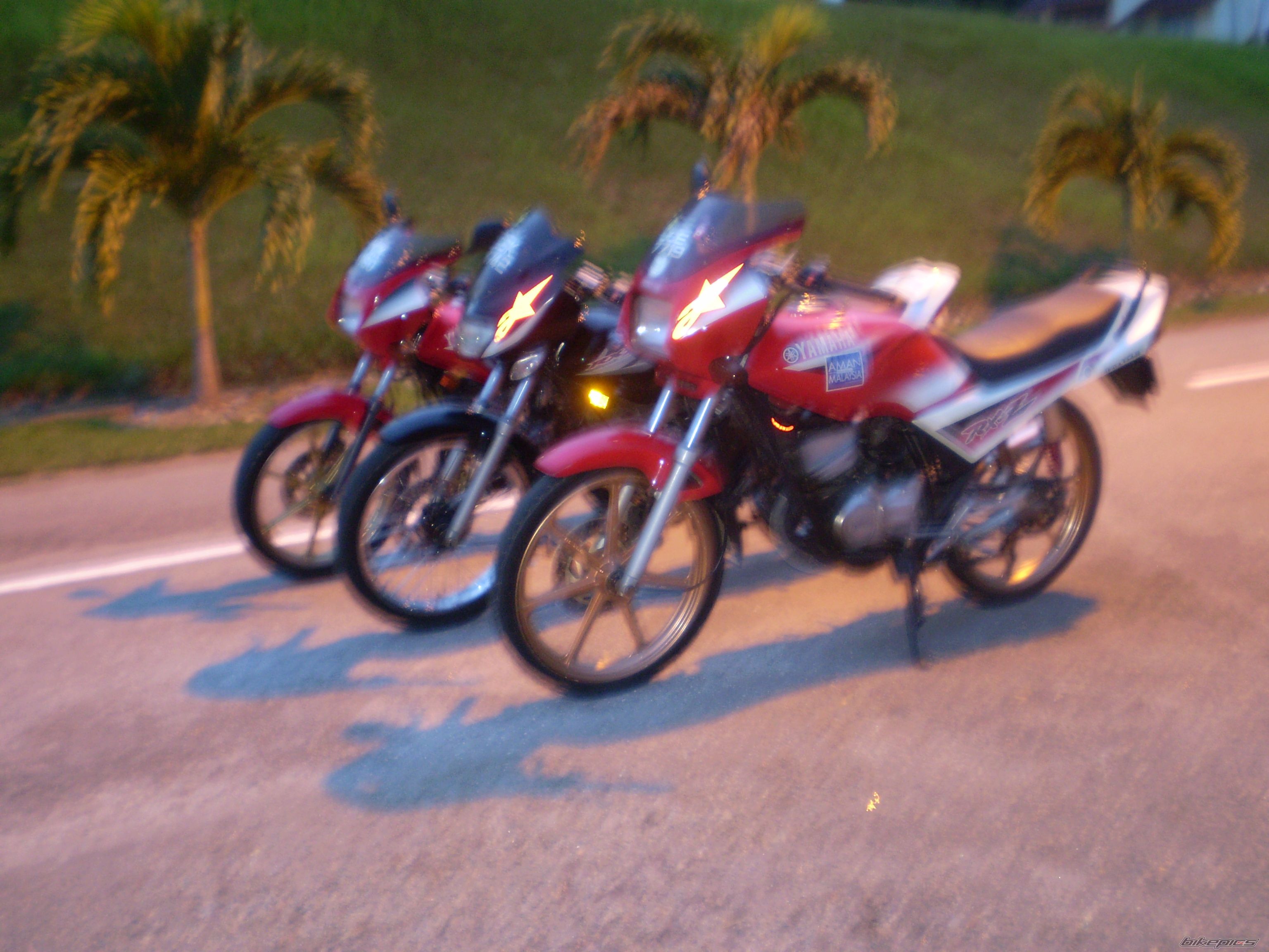 Photo 1210972