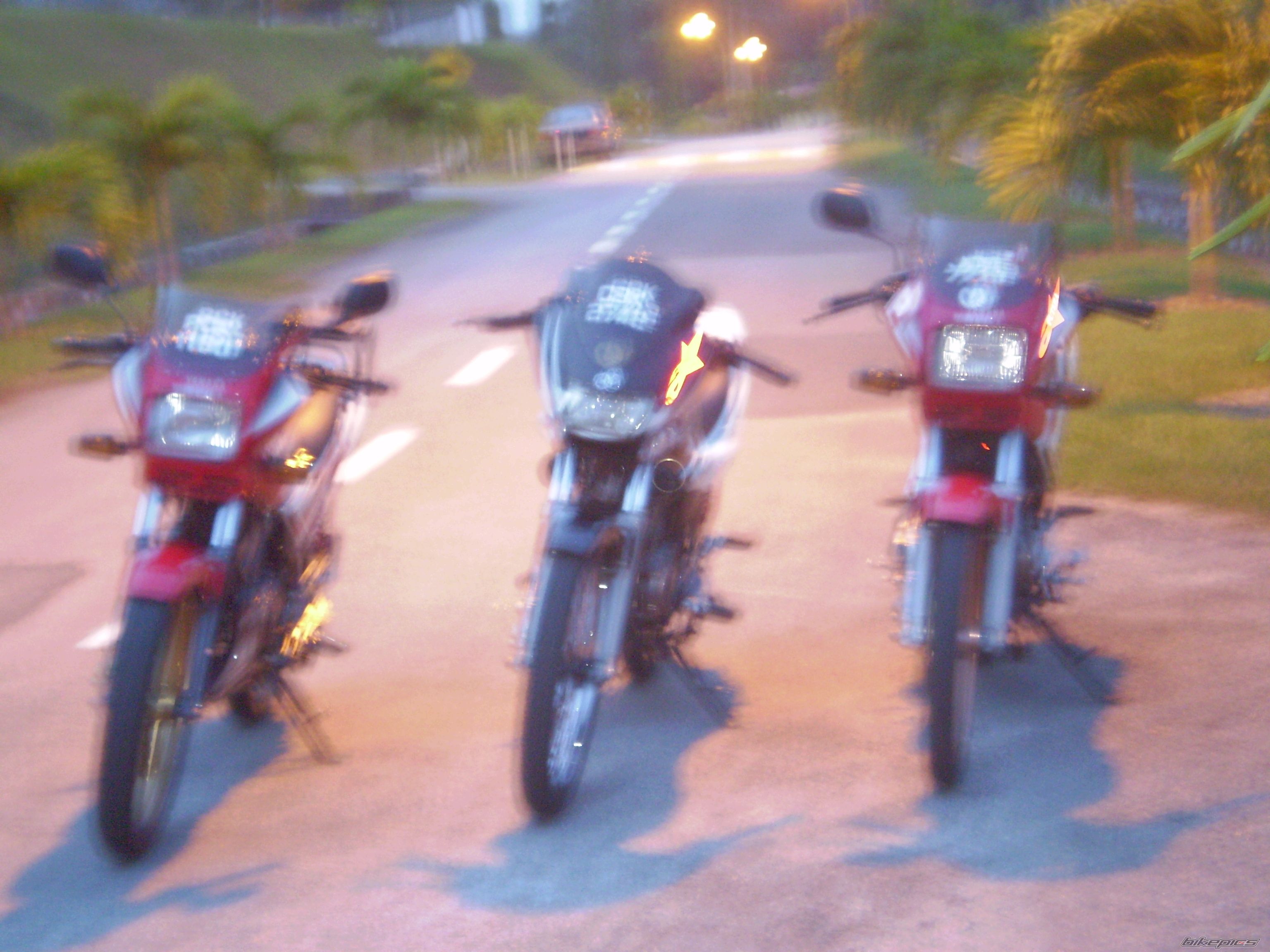 Photo 1210977
