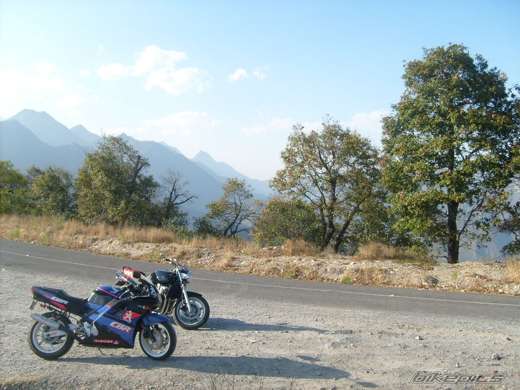 Photo 1210980