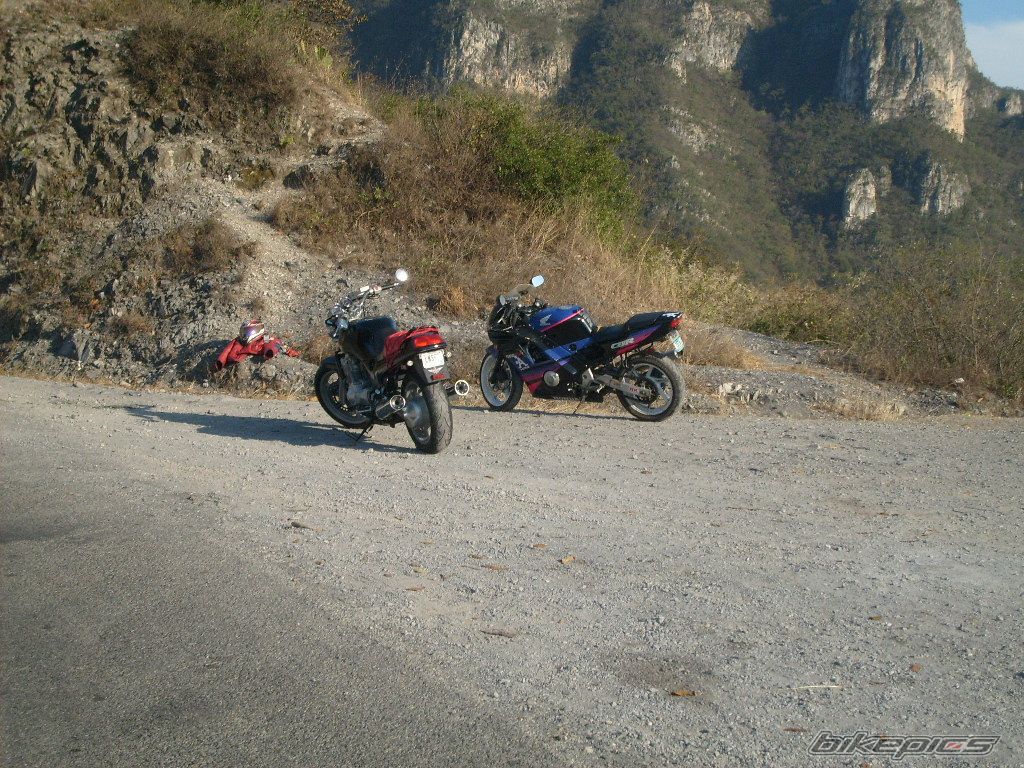 Photo 1210985
