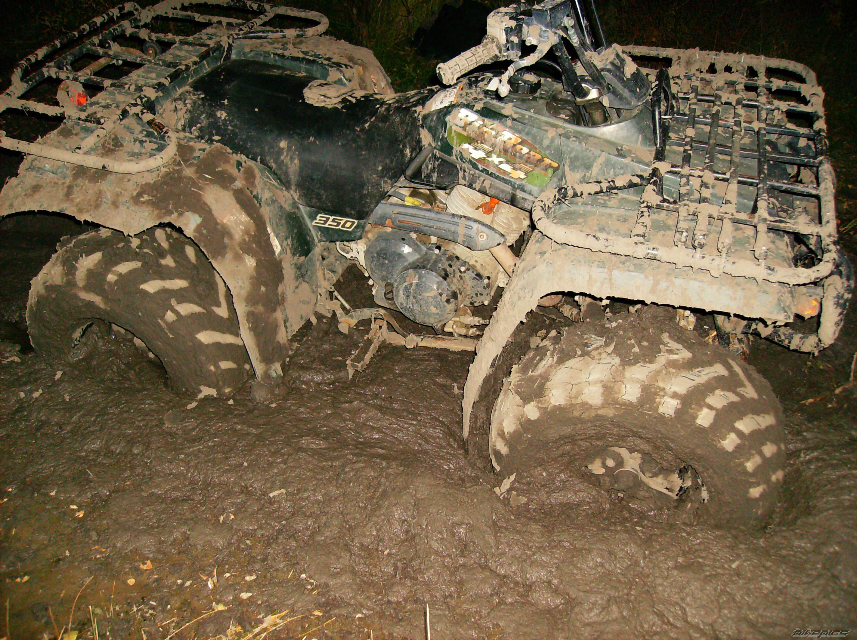 Photo 1211273