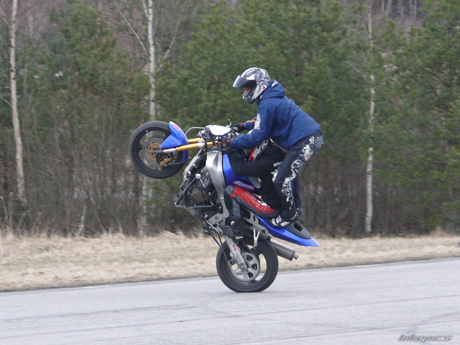 Photo 1211461