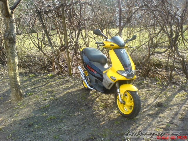Photo 1211499