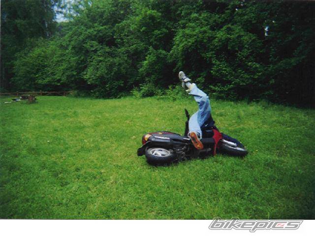 Photo 12115