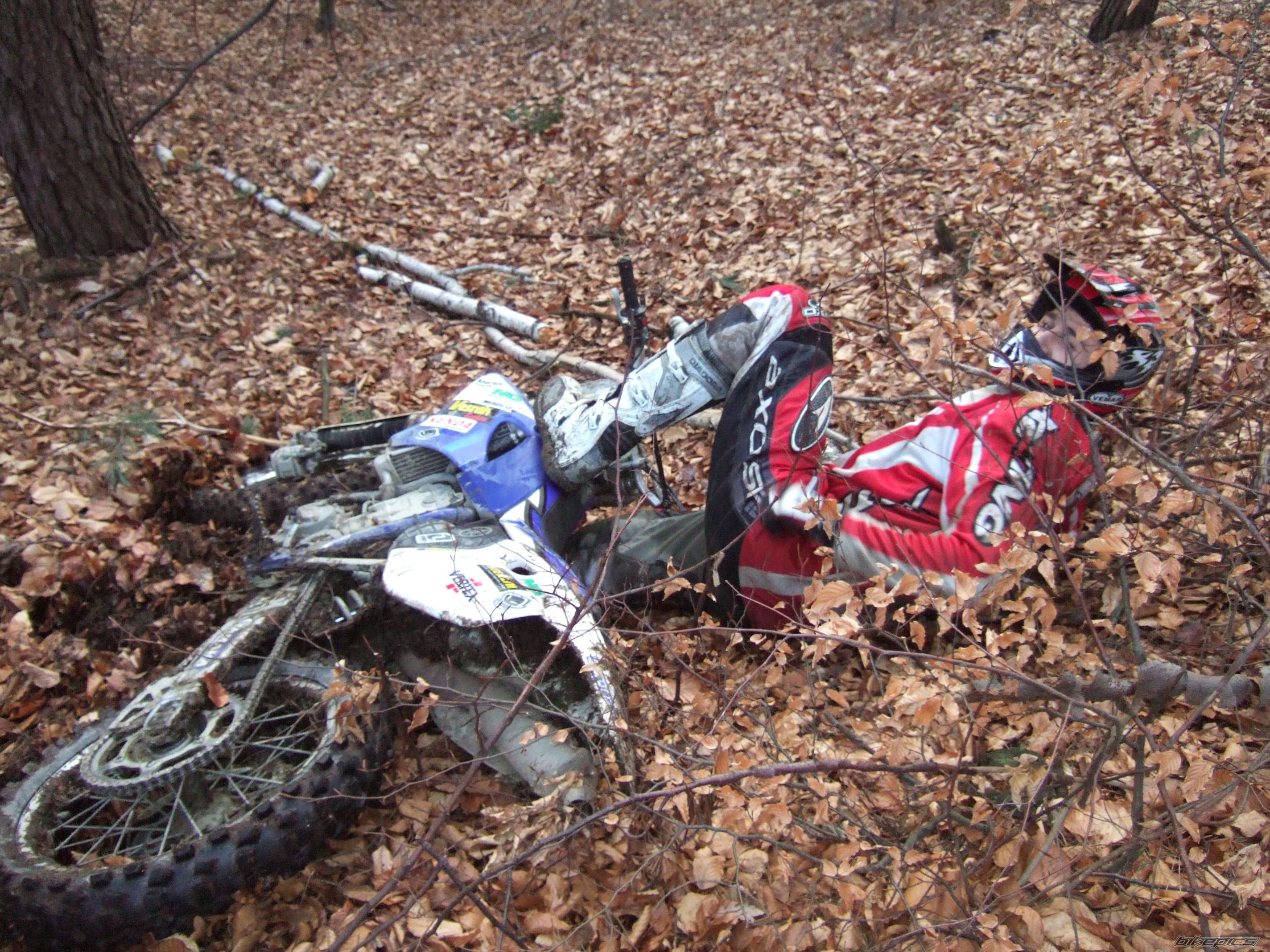 Photo 1211510