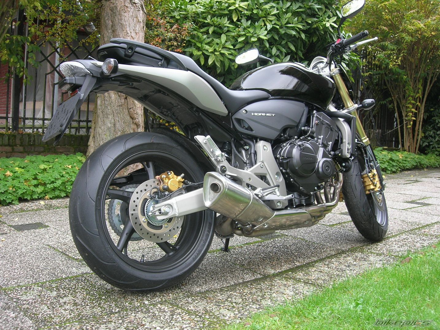 Bike Photo 1211529