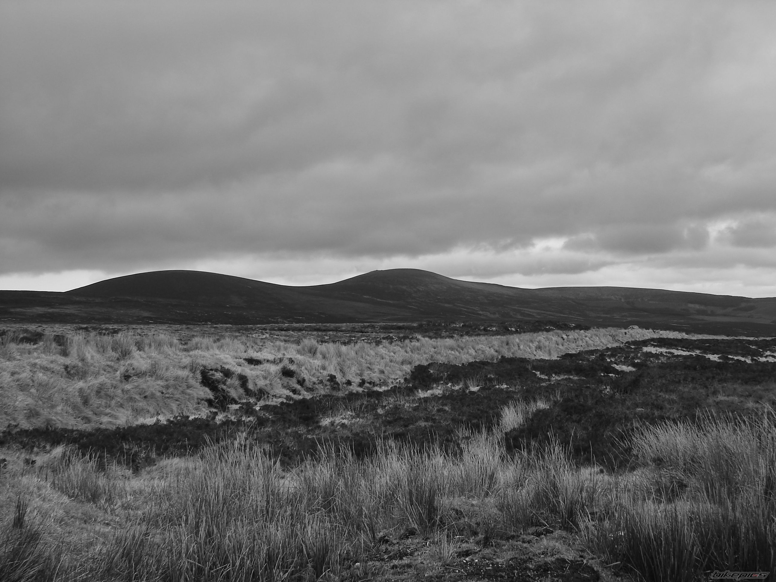 Photo 1211565