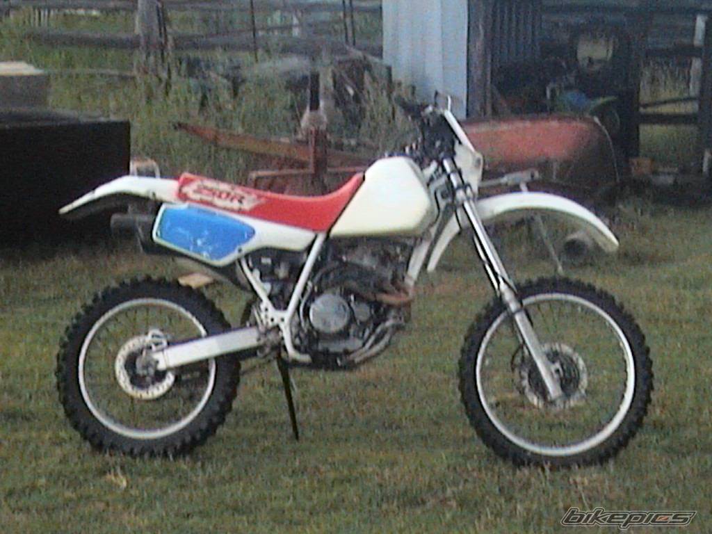 Bike Photo 121157