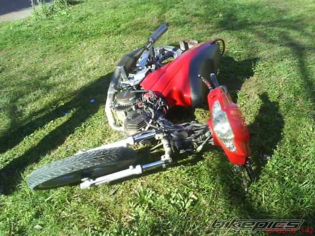 Photo 1211613