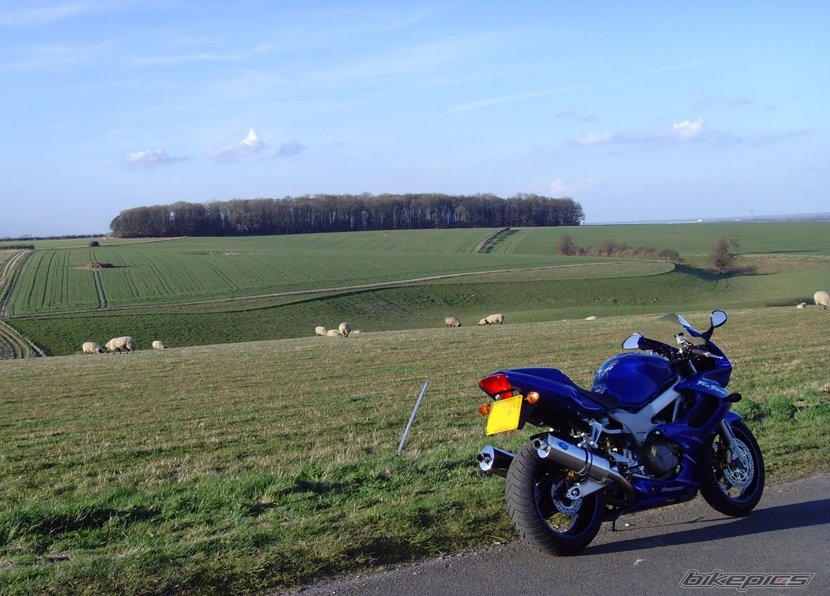 Photo 1211639