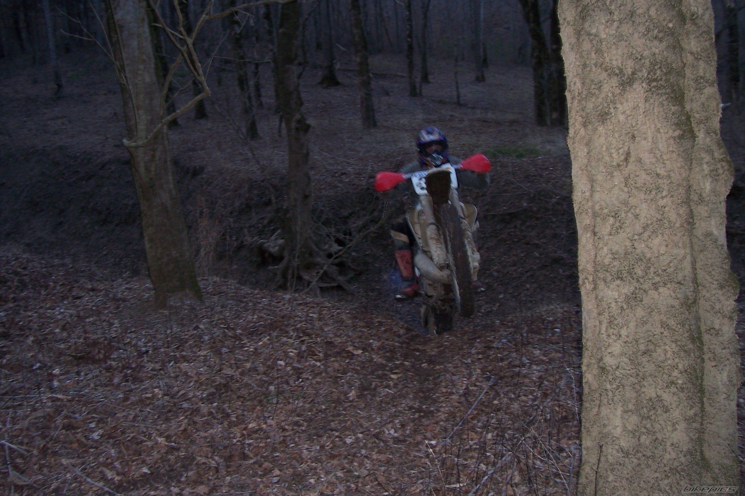 Bike Photo 1211776