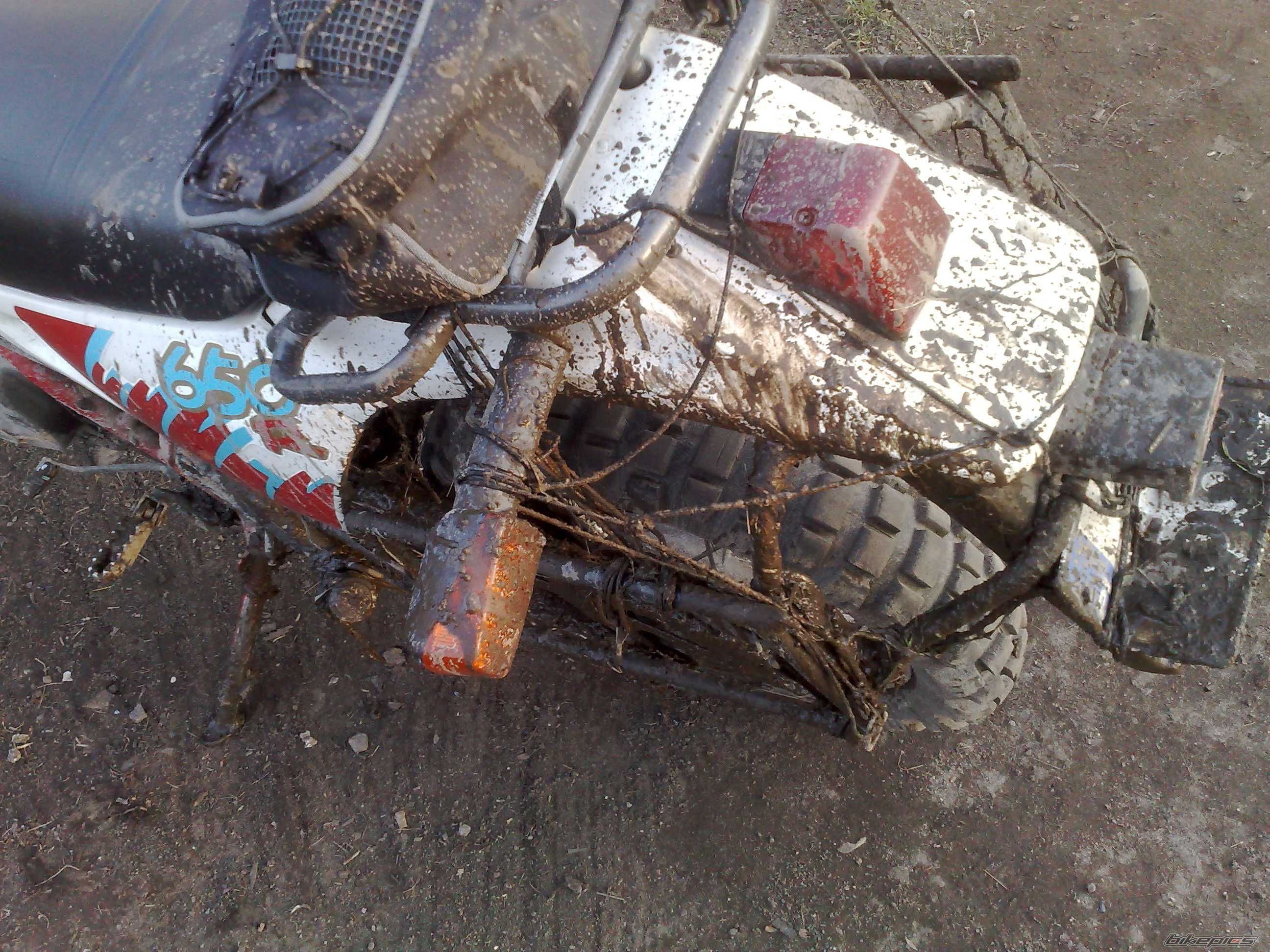 Photo 1211790