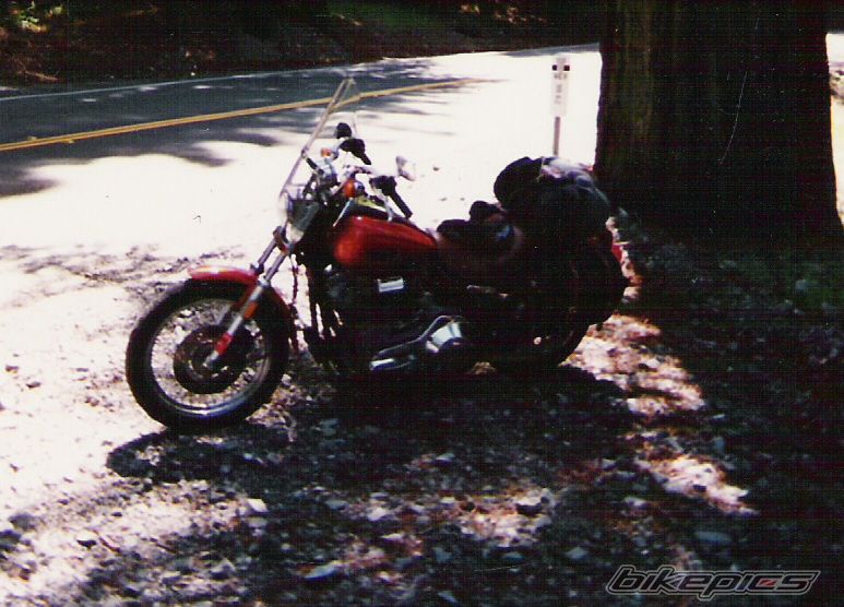 Photo 1211851