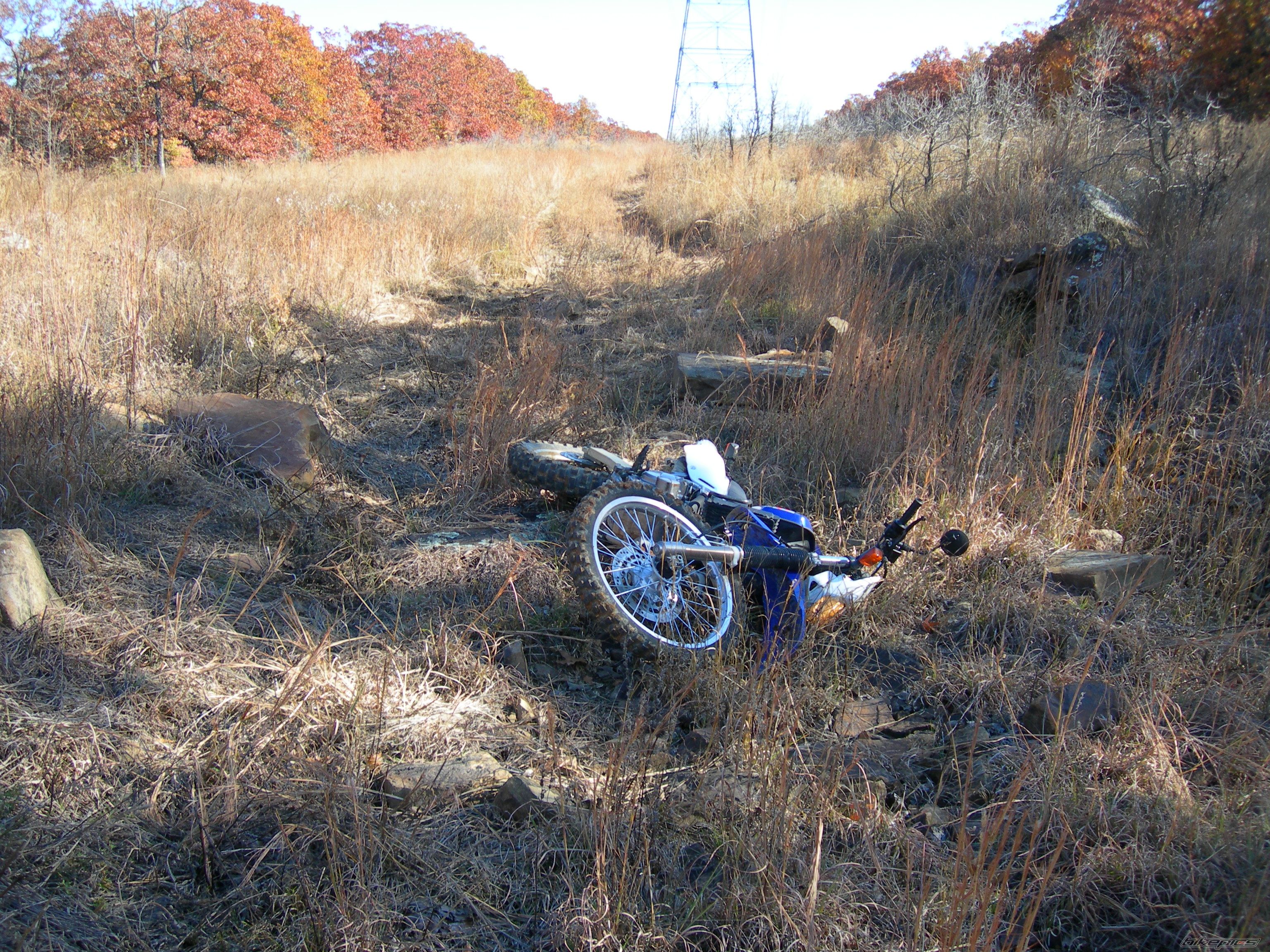 Bike Photo 1211923