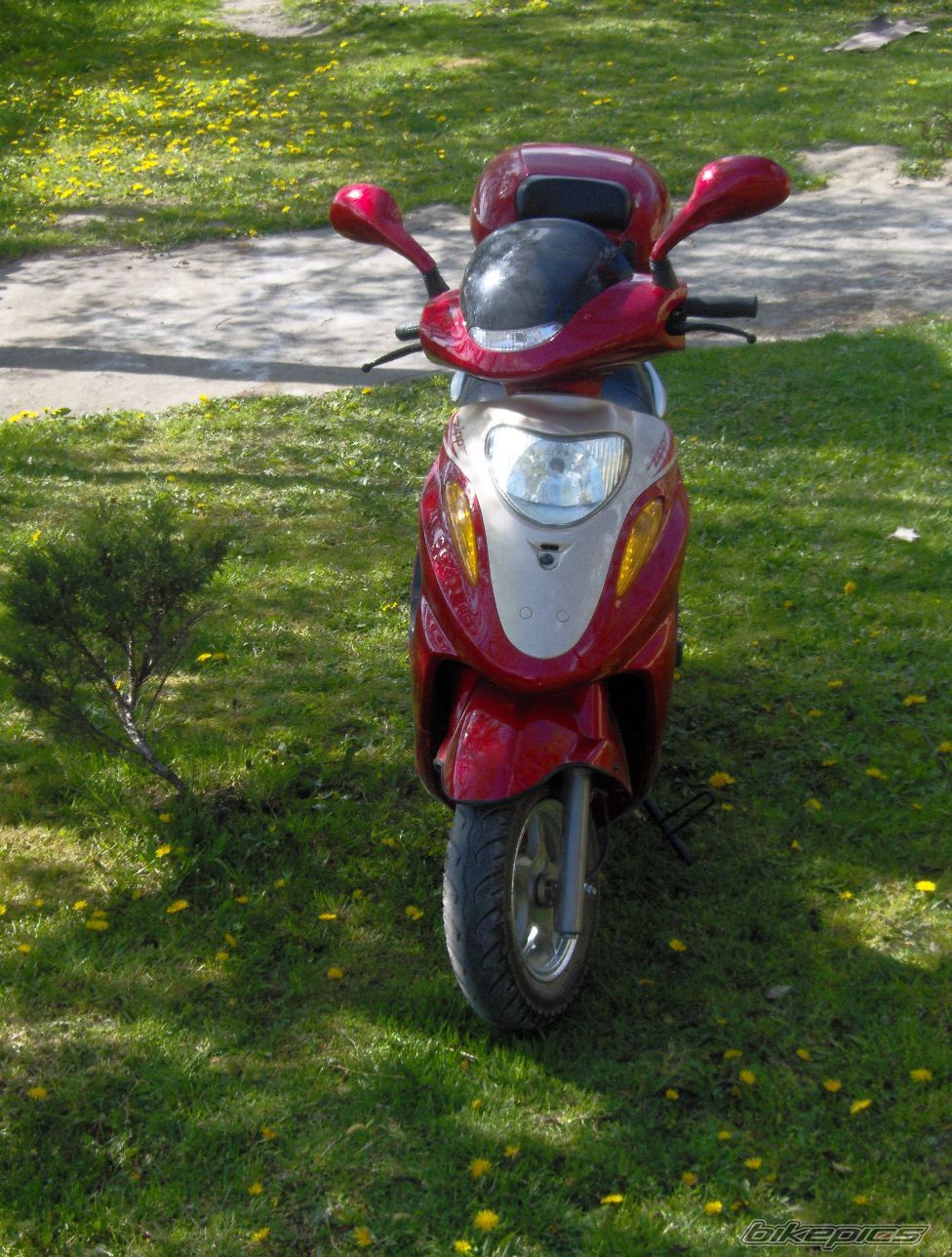 Photo 1212005
