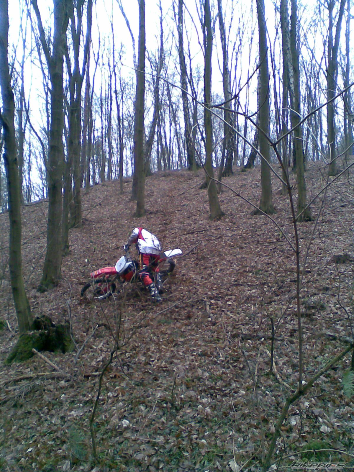 Photo 1212050