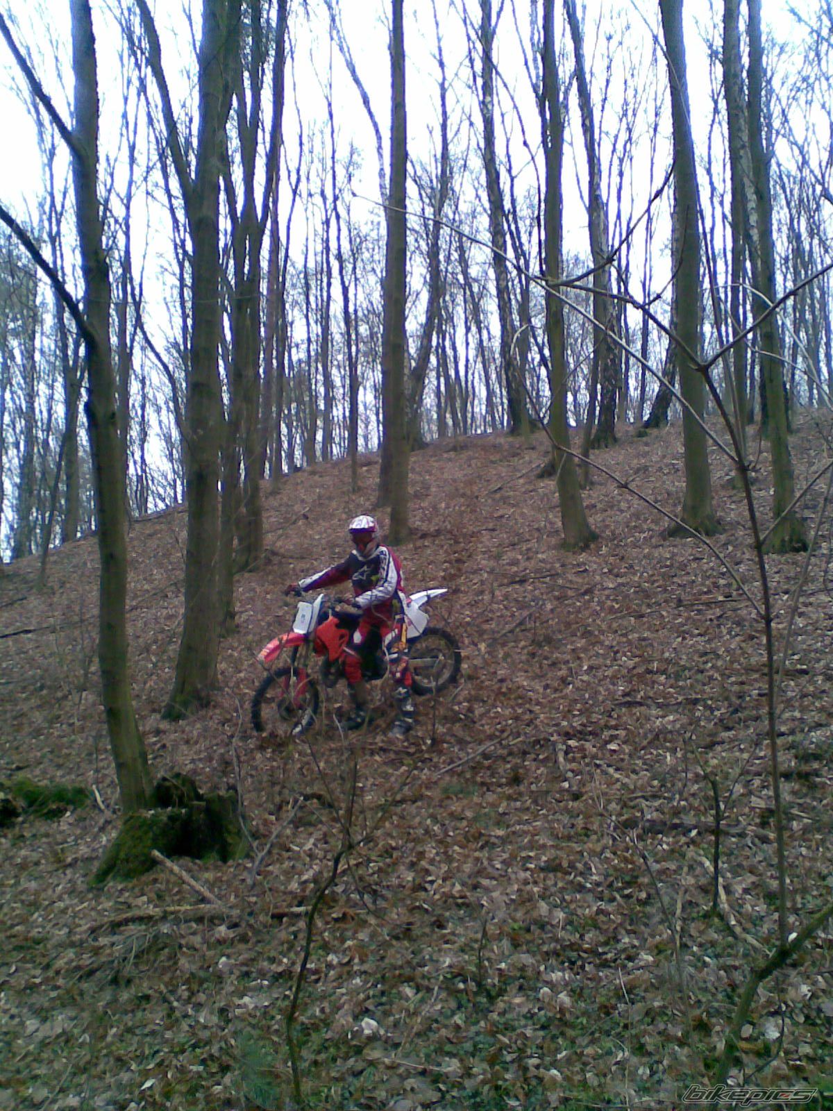 Photo 1212054