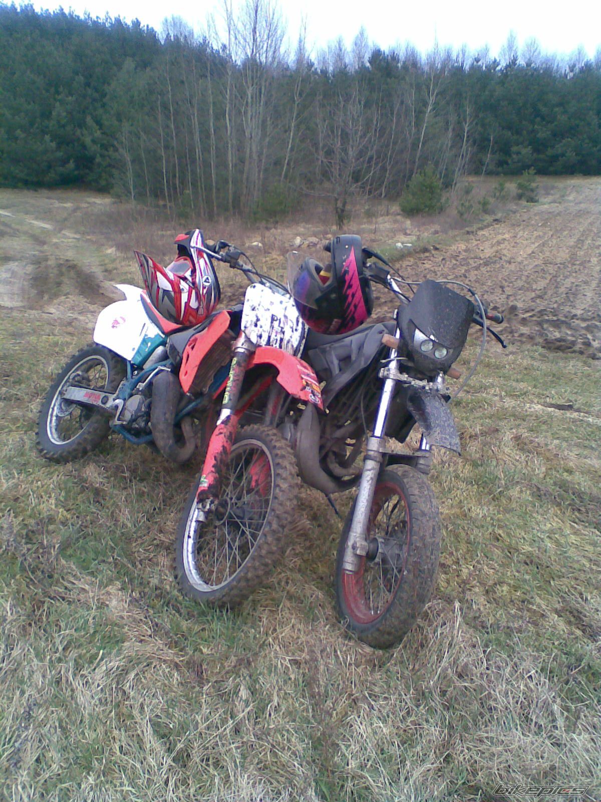 Photo 1212061