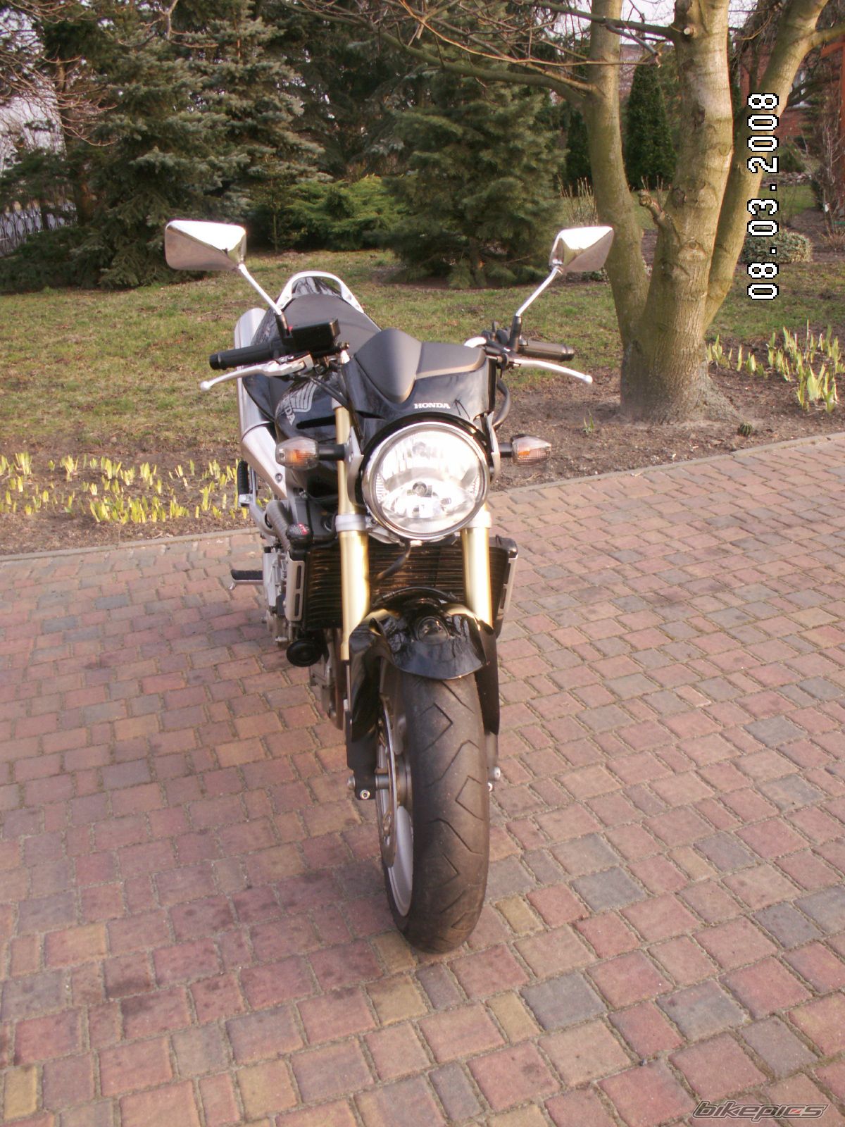Photo 1212123