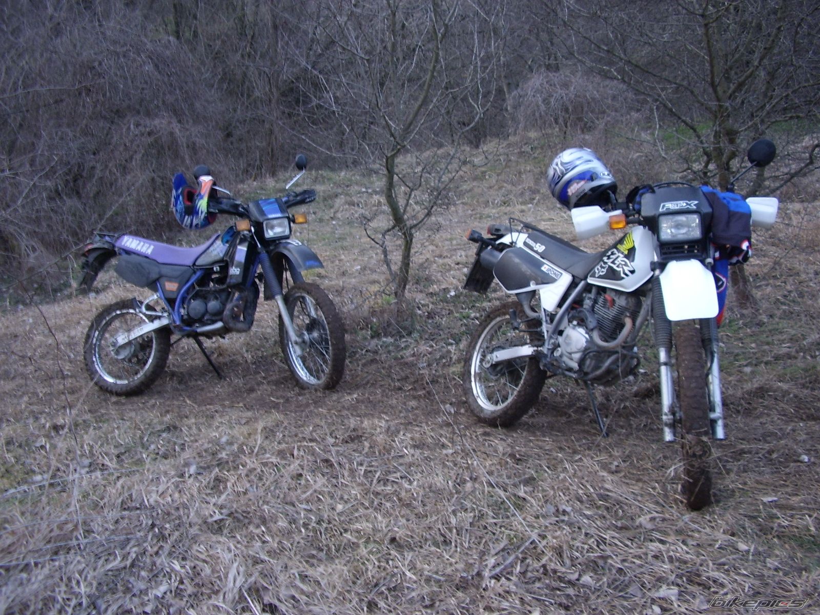 Bike Photo 1212174