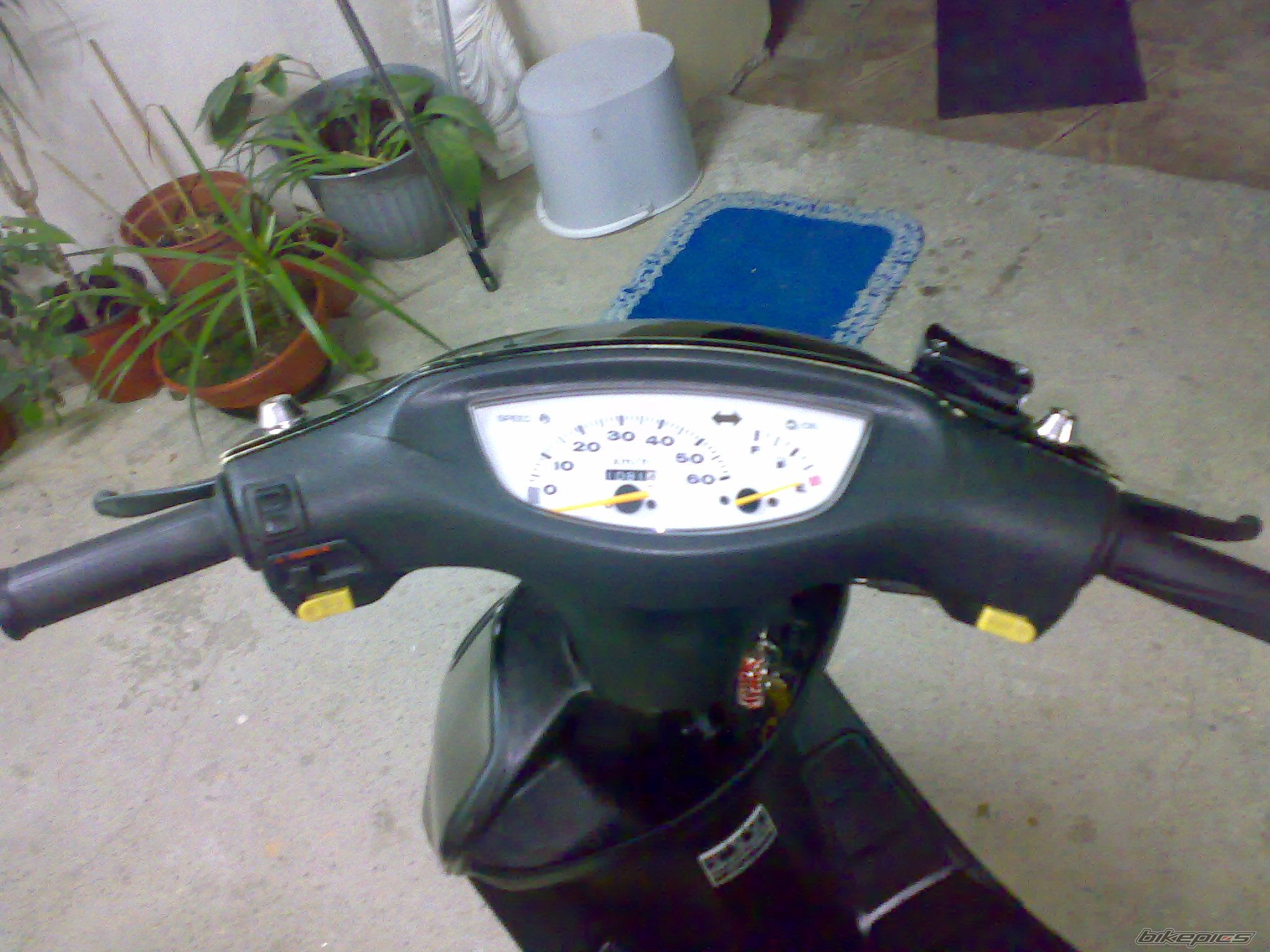Photo 1212226