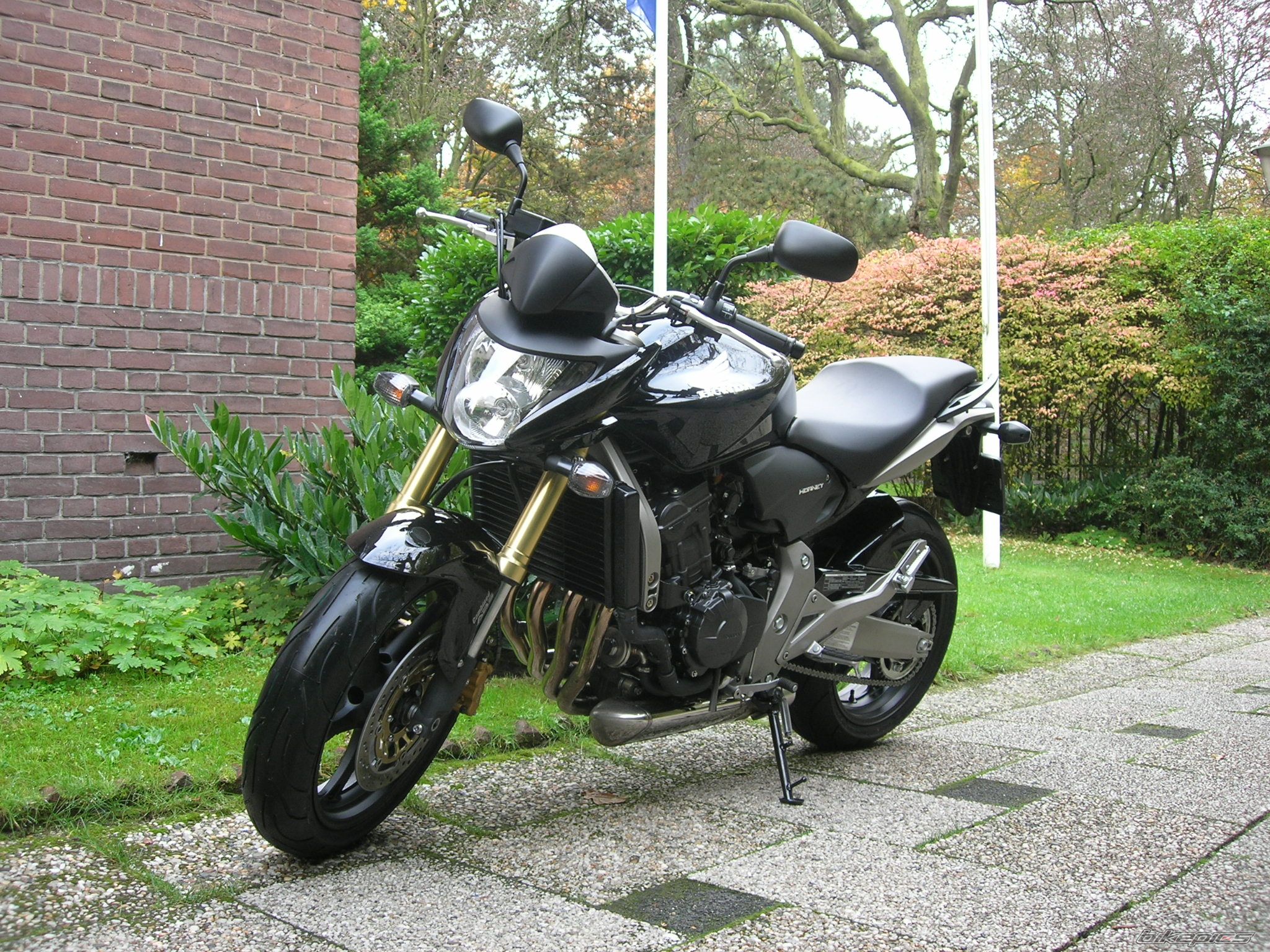 Photo 1212254