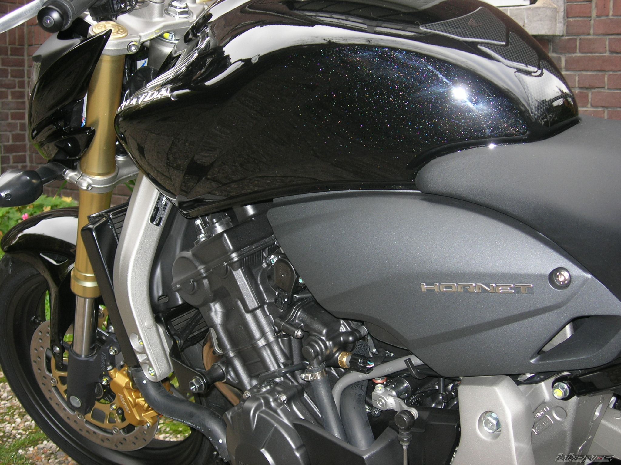 Photo 1212257