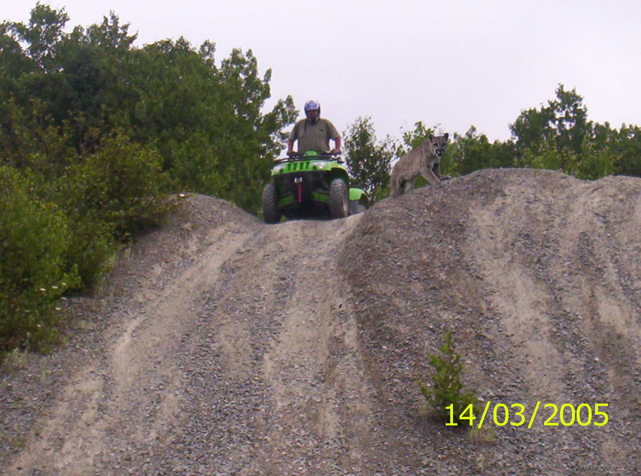Photo 1212325