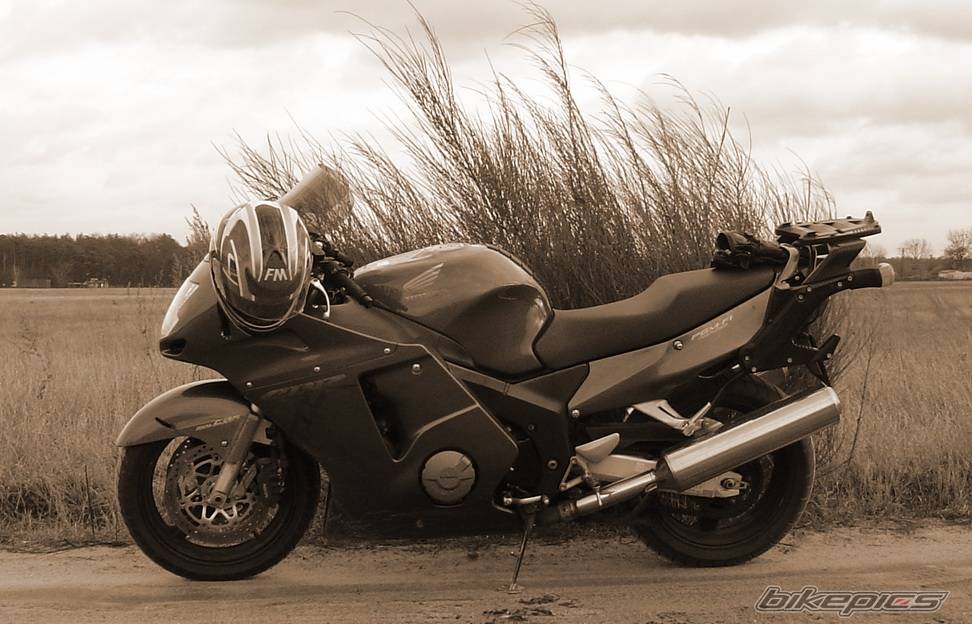 Photo 121238