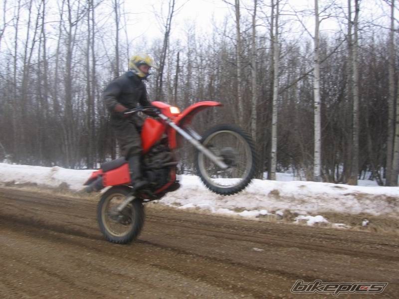 Photo 1212388