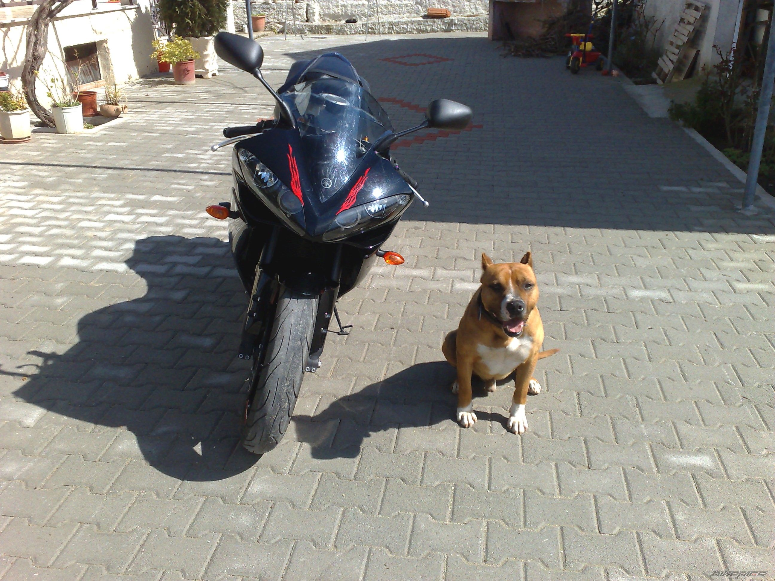 Photo 1212465