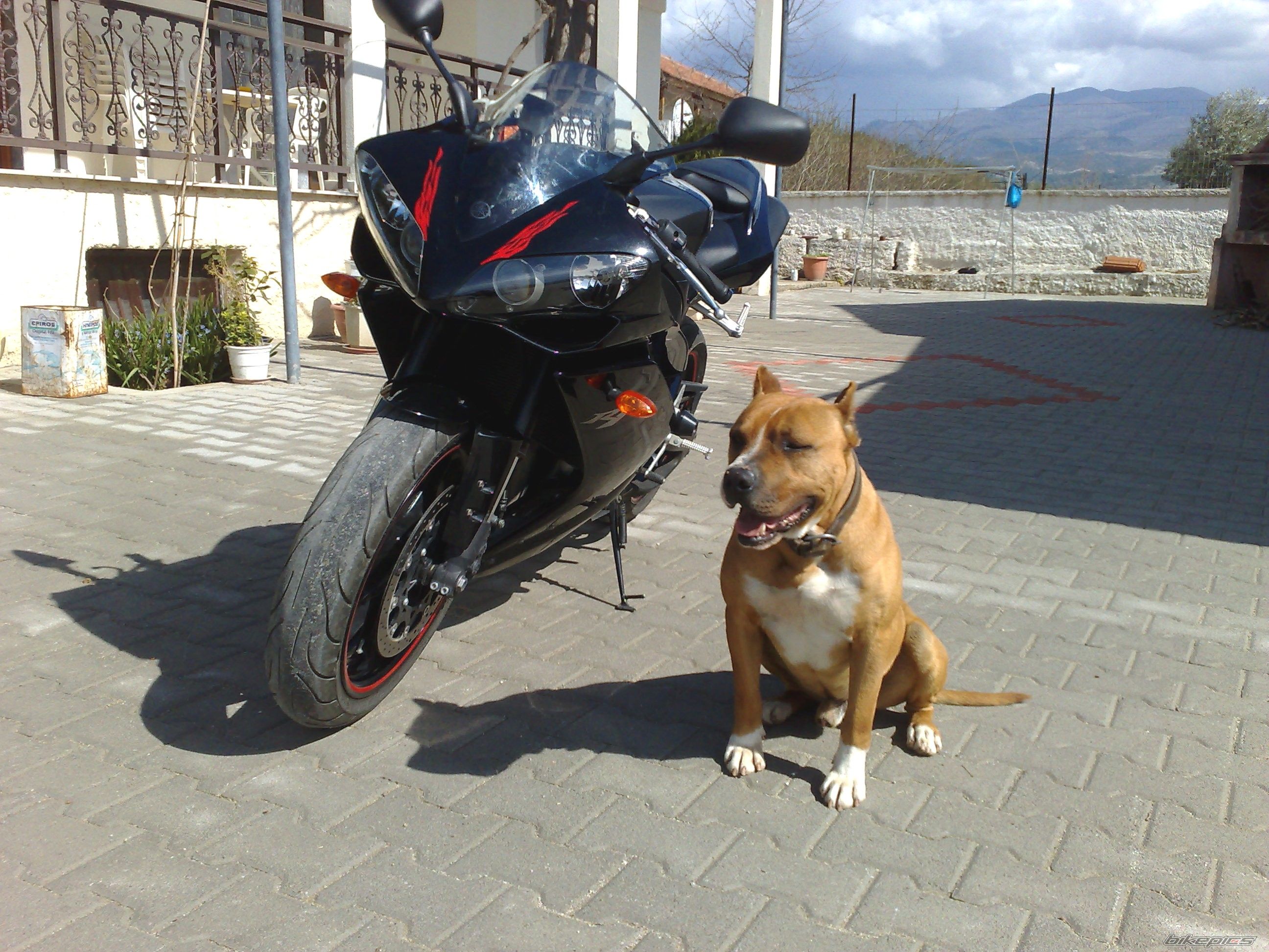 Photo 1212467