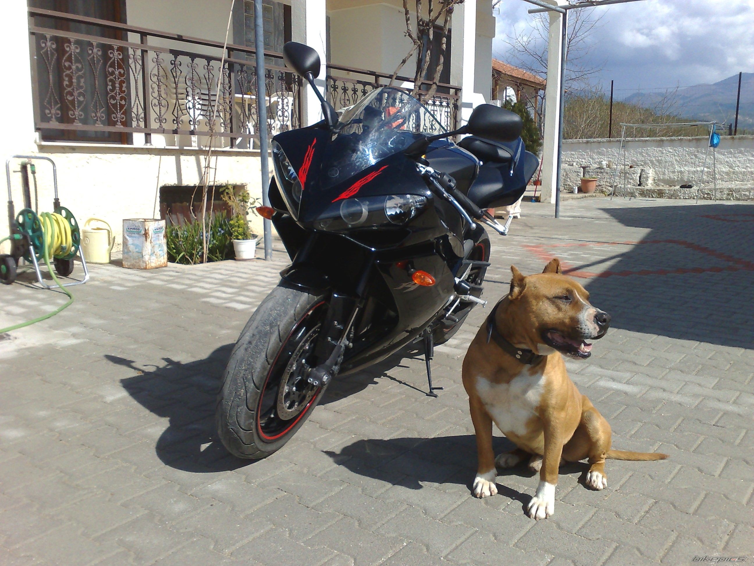 Photo 1212468