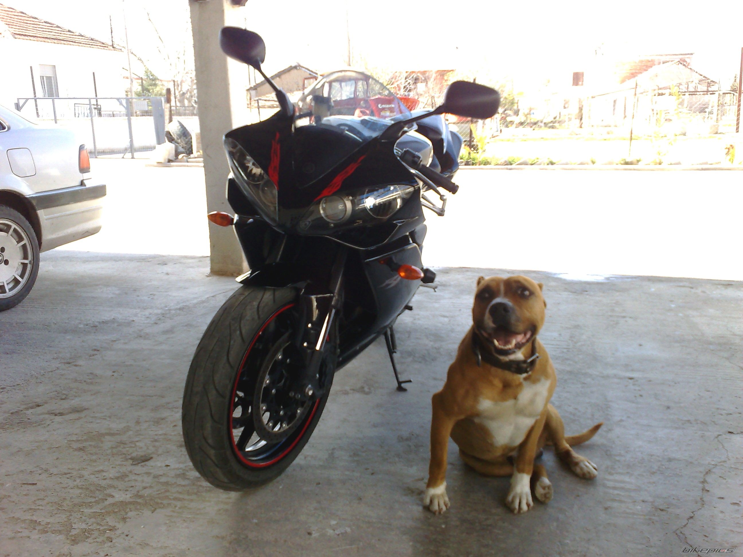 Photo 1212469