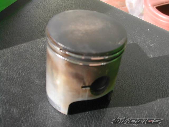 Photo 121248