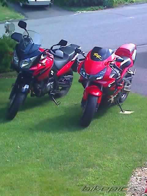 Photo 1212491