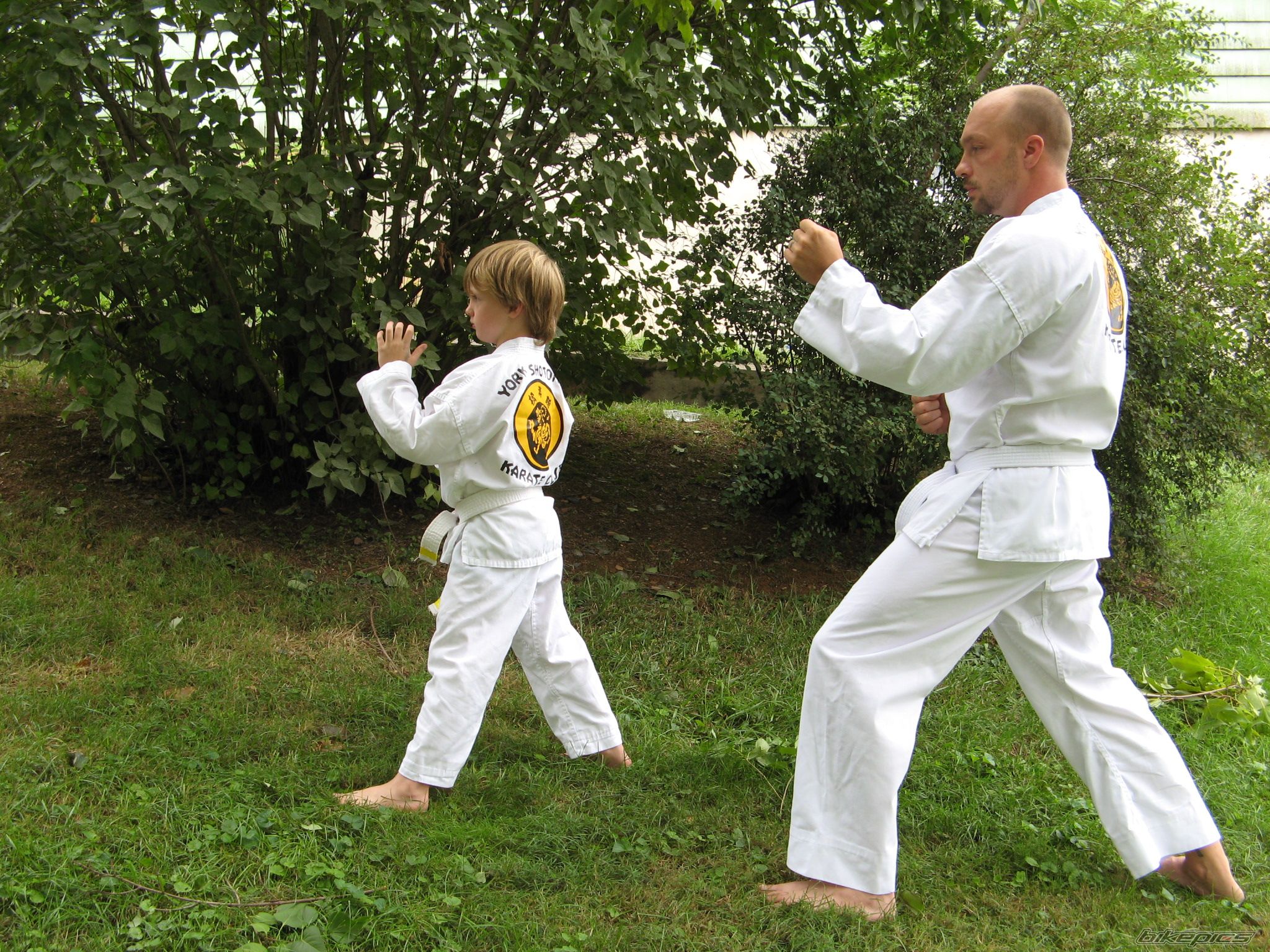 Photo 1212539