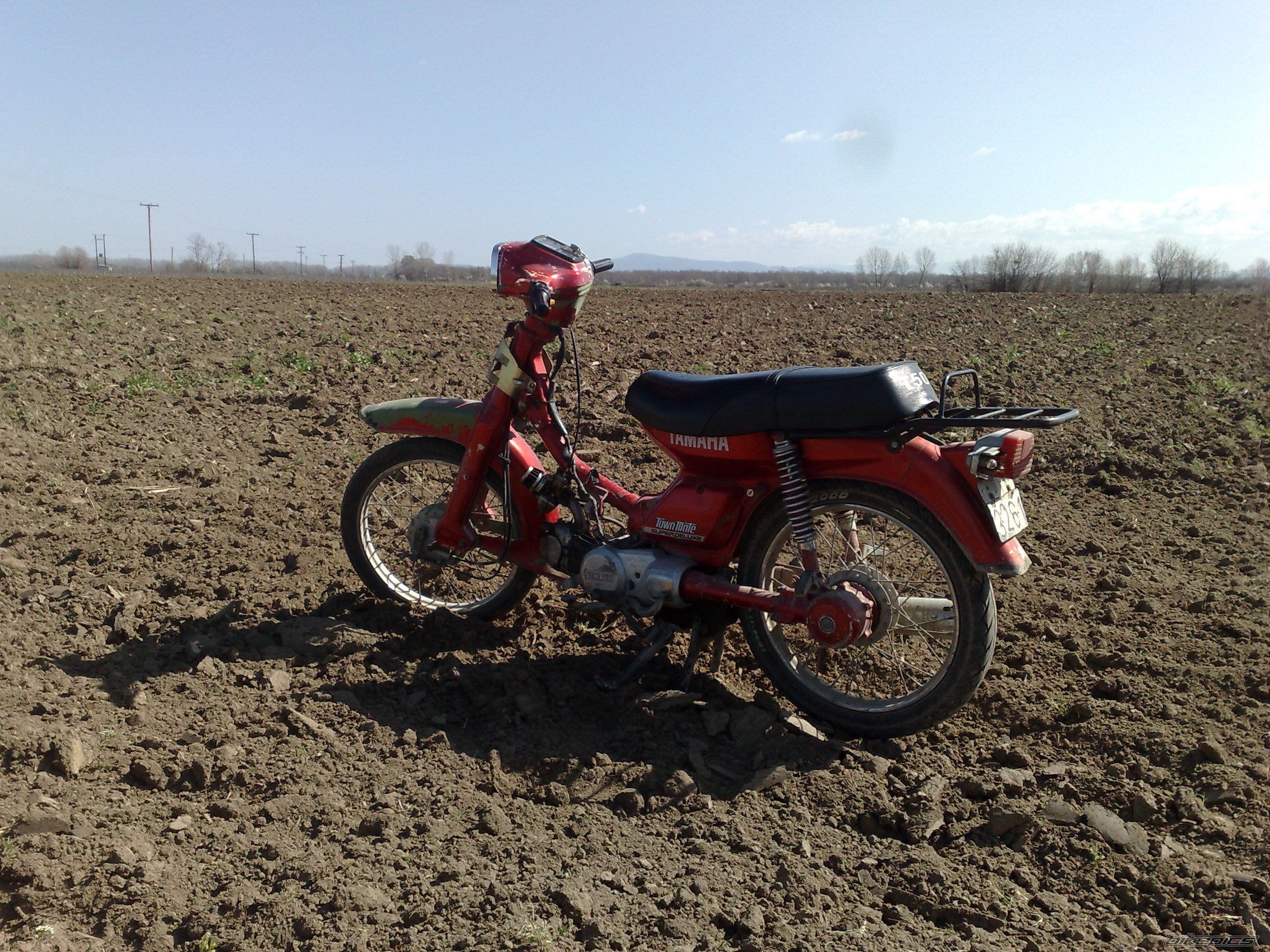 Photo 1212732