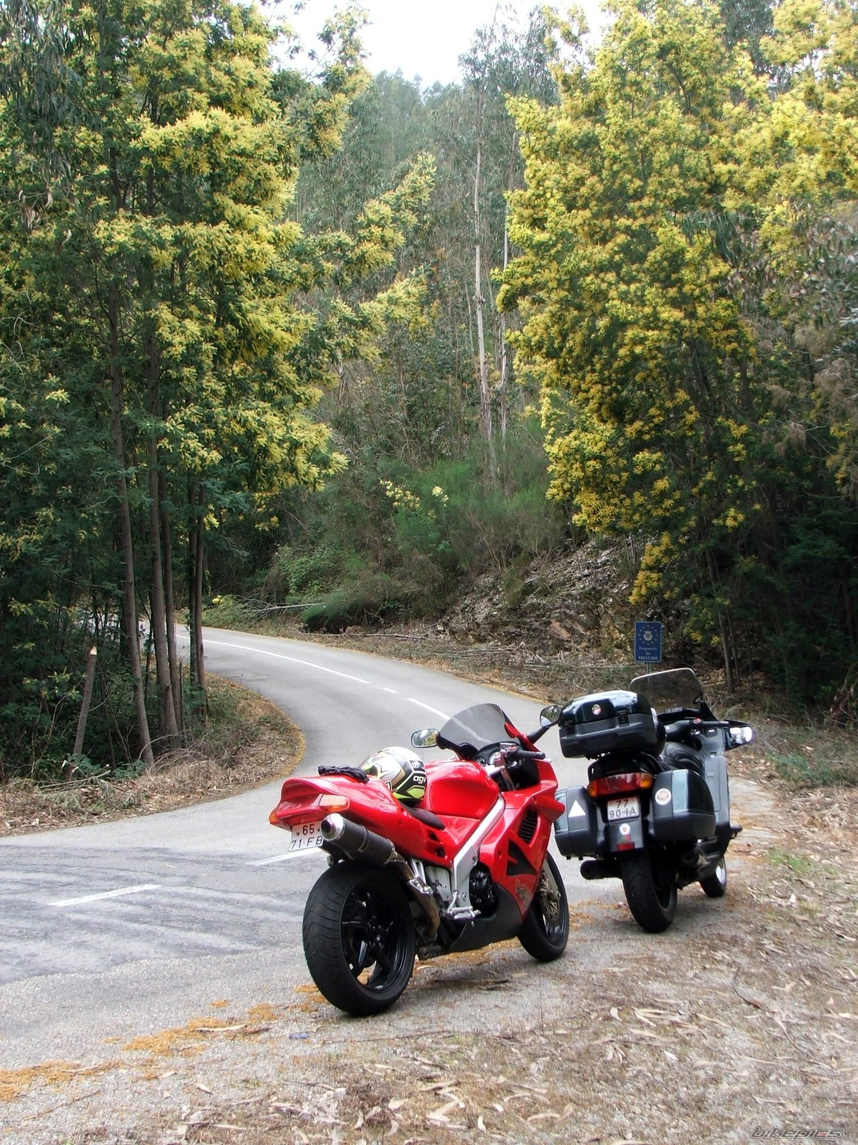 Bike Photo 1212810