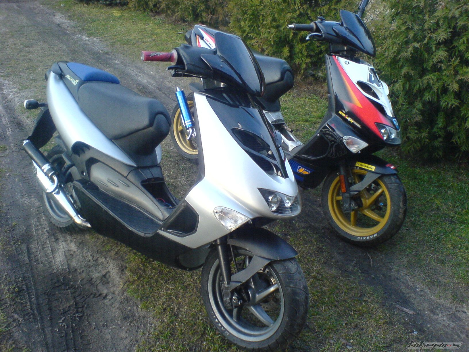 Photo 1212846