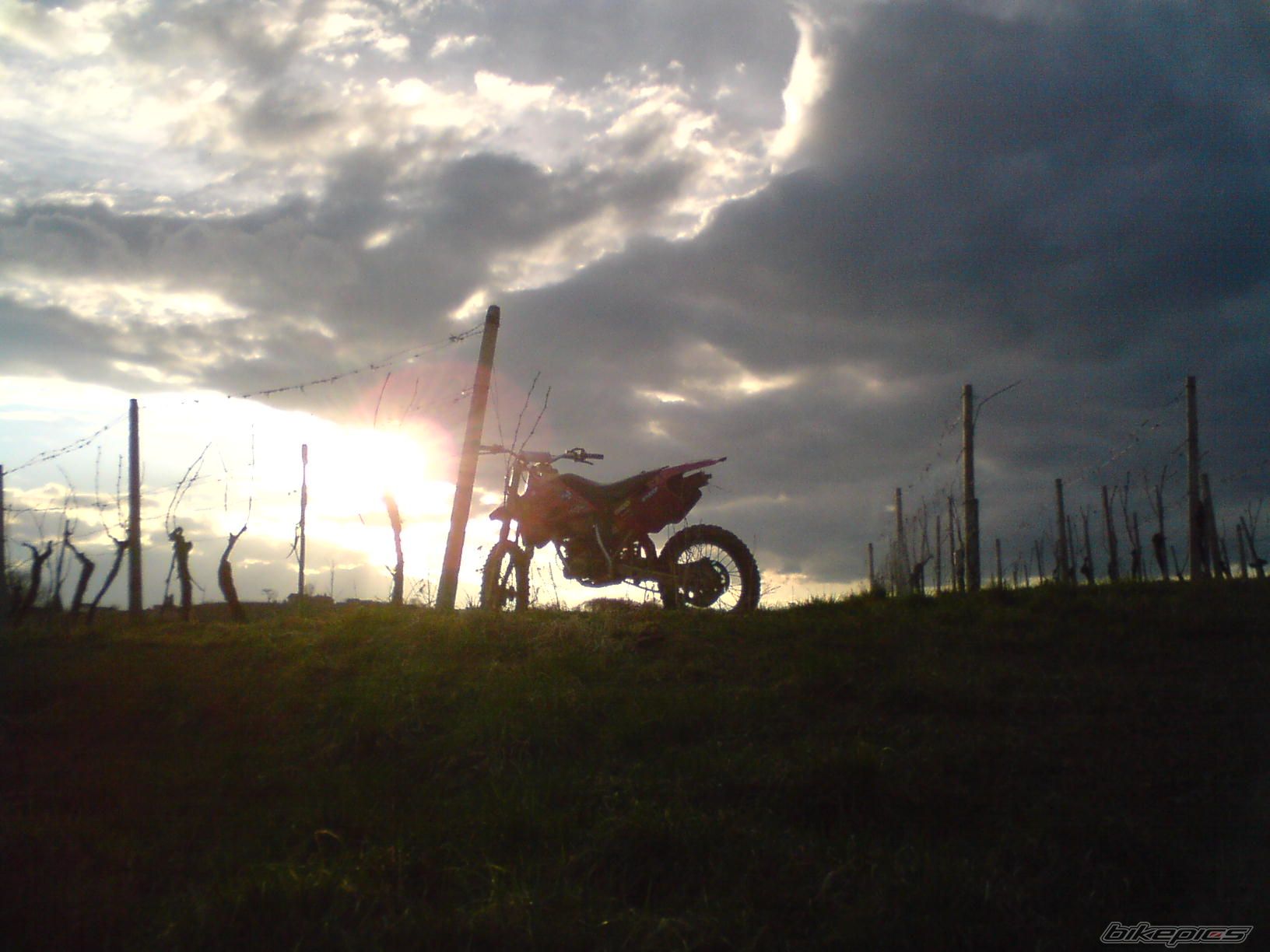 Photo 1213017