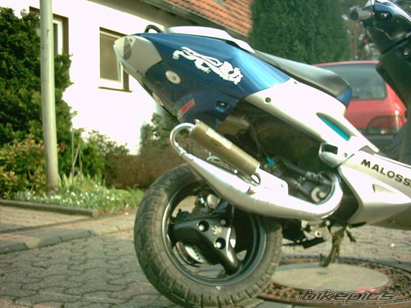 Photo 121302