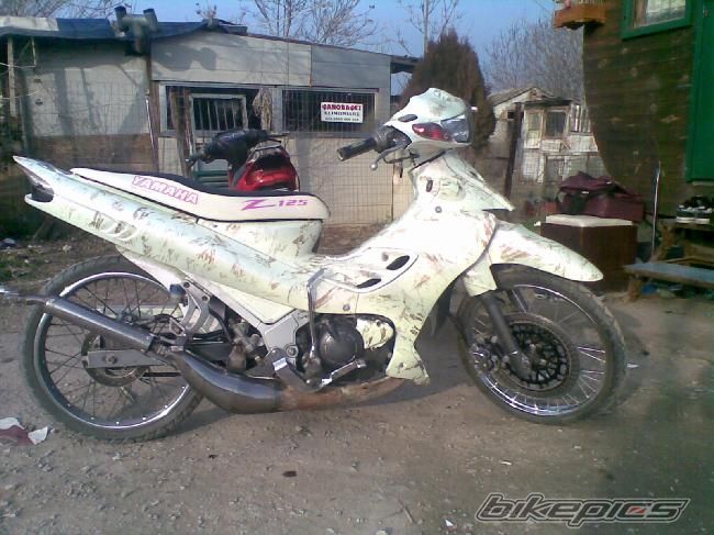Photo 1213247